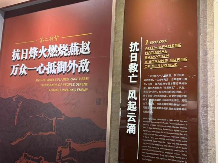 2e9a84d5fcd3f8cab8e3c6b1dd354f5